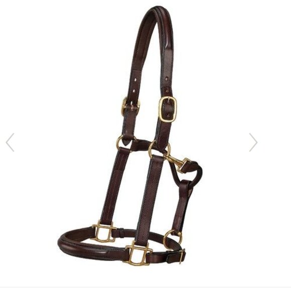 Dover Saddlery Other - Dover Saddlery Classic Plain Raised Padded Halter Cob Brown Goldtone Leather